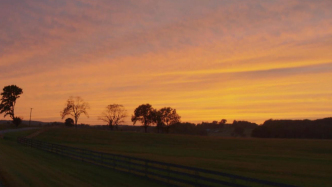專訪｜吳心越：在養(yǎng)老院的“薄暮時分”，看見生而為人的脆弱本質(zhì)