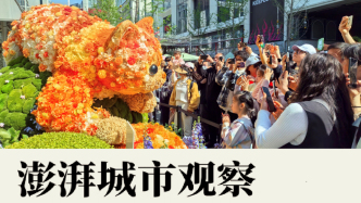 上海国际花卉节观察①动物绿雕促消费，商圈公园化潜力可期