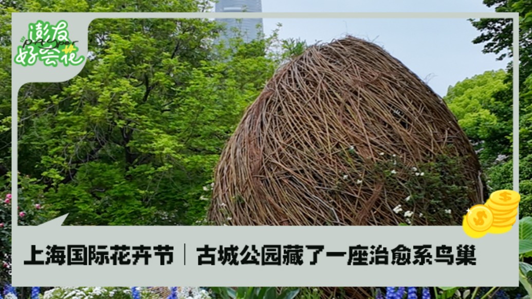 上海国际花卉节：古城公园藏了一座治愈系巨型鸟巢｜澎友好会花