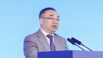 王文灵被免职