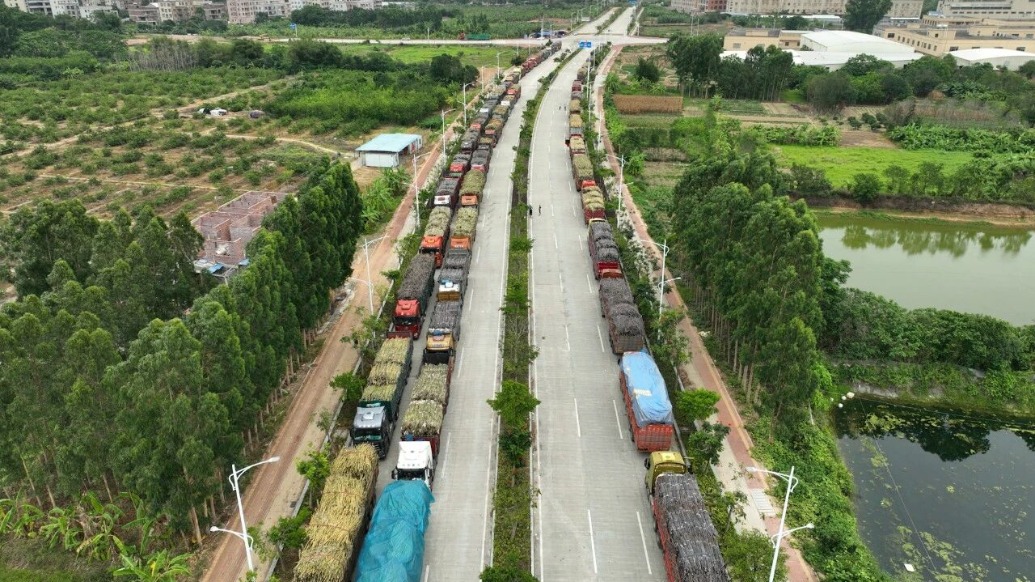 糖廠廠長主動發(fā)聲收購滯銷甘蔗，數百輛貨車涌進全網最暖糖廠