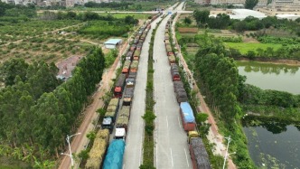 糖廠廠長(zhǎng)主動(dòng)發(fā)聲收購(gòu)滯銷甘蔗，數(shù)百輛貨車涌進(jìn)全網(wǎng)最暖糖廠