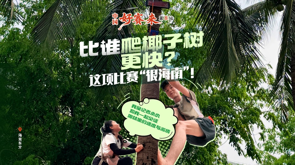 中国好赛来丨比谁爬椰子树更快？这项比赛“很海南”！