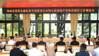 瑞丽召开翡翠直播乱象专项整治会议，从严从重打击虚假宣传等行为