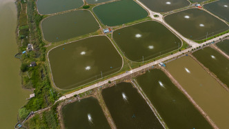 尾水超标污染近海，检察监督促37万余亩养殖水面完成整改