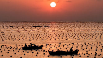 國(guó)常會(huì)研究科技創(chuàng)新有關(guān)工作，聽取推動(dòng)海洋經(jīng)濟(jì)高質(zhì)量發(fā)展情況匯報(bào)