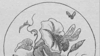 《小妇人》的“情感经济学”