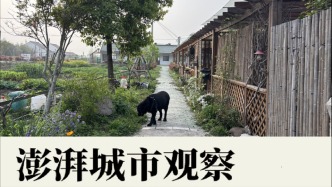 乡村热起来之后：政府如何留住“新农人”