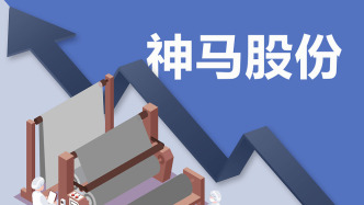 神马股份涉信披违法违规被证监会立案，5个月前收监管警示函