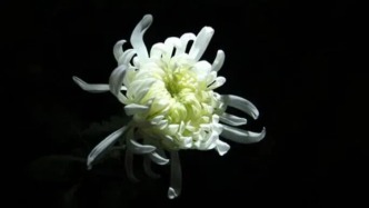 环境工程专家、中国工程院外籍院士杨祖保逝世