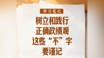 學(xué)習(xí)筆記丨樹立和踐行正確政績(jī)觀，這些“不”字要謹(jǐn)記