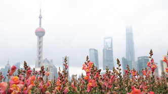 晴雨转换快，上海下周降温又降雨