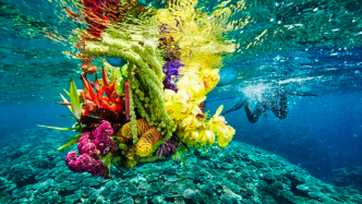 全世界最浪漫的男人，讓鮮花開在3萬米高空