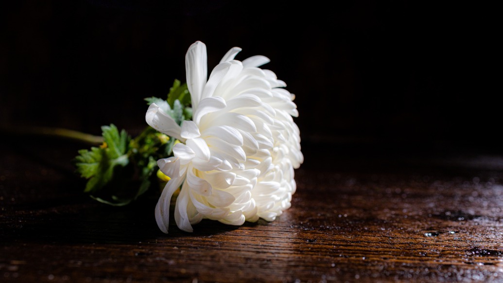 陕西广电《都市快报》记者王景文因病去世，年仅51岁
