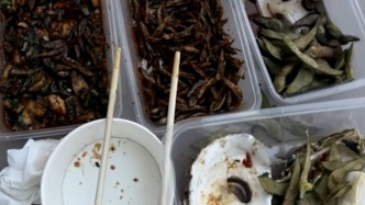  游客投诉吃到变质烧烤被诊断为细菌感染，商家：自家食品没问题