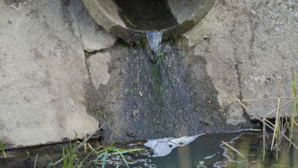 重庆跳磴河水质异常被群众投诉，一公司被责令改正违法行为