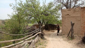 夜讀｜走不出故鄉(xiāng)的父母