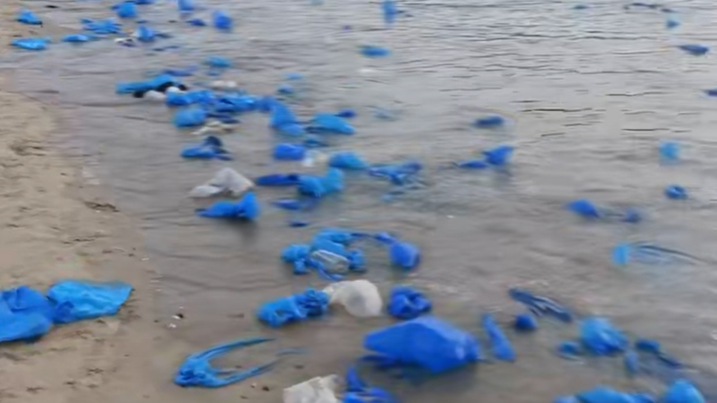 福州平潭岛海岸线漂浮大量废弃蓝鞋套，管理单位：每天都在清理