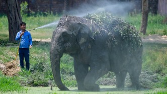 第1現(xiàn)場｜42.8攝氏度！印度高溫再破紀(jì)錄