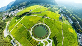 恩施两座小山村的出圈密码：艺术改变生活，茶山做出吸引力