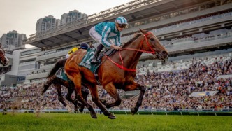 连续三年入选香港盛事年表，这场赛马活动为什么能持续火爆