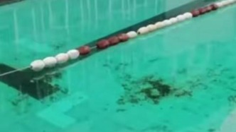 成都警方通报一泳池遭投火锅底料：8人被采取刑事强制措施