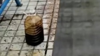 一泳池遭投火锅底料，成都警方：产权方因租赁纠纷指使，8人被采取刑事强制措施