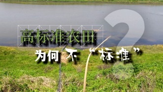 影子调查｜高标准农田为何不“标准”?