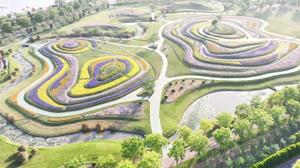 通通来通过五一丨南通洲际梦幻岛：打卡梯田花海，俯瞰蝴蝶造型美景