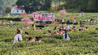 春潮涌动大别山，六安做好红绿交融全域旅游大文章