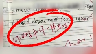 老师改作业批注“你的字和你一样丑”，河南桐柏县教体局：对涉事教师严肃批评教育