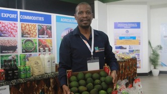 外交部非洲司司长人民日报撰文：零关税是新时代中非合作的“金色名片”