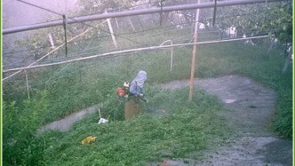 一個(gè)女人的田園：從不可能到可能｜扣子奶奶