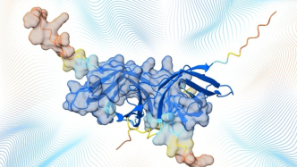 諾獎(jiǎng)級(jí)AI再進(jìn)化！AlphaFold開(kāi)始揭秘生命的“組裝車(chē)間”