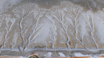 欧洲发布2025年气候报告：极端天气加剧关键指标创纪录