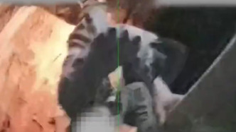 现实版“掩耳盗铃”？男子盗窃工地建材顺手盗走监控设备妄图销毁证据