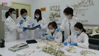 復(fù)旦、上海交大等多所高校獲批新增本科專業(yè)，有你心儀的嗎？