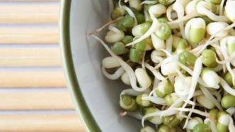 小小豆芽，竟是春夏养生的“隐藏高手”？