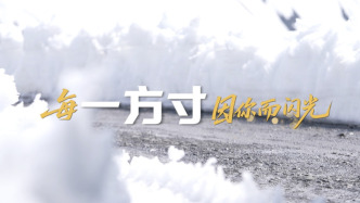 致敬劳动者｜每一方寸，因你而闪光