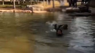 孩子落水母亲想救也被困，热心路人跳水营救：那一瞬间由不得考虑了