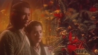 从传统评点看金庸｜《神雕》篇：《神雕侠侣》群芳谱