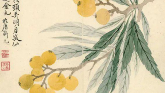 诗画二十四节气｜立夏：尝新见夏，鸢尾逐风