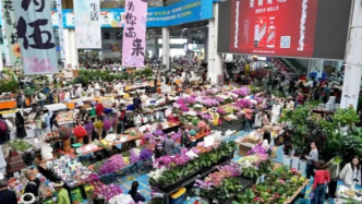 昆明旅游不逛这个亚洲第一市场太亏了，逛吃逛玩遛娃一站式搞定