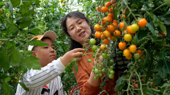 農(nóng)業(yè)農(nóng)村部：引導(dǎo)小農(nóng)戶發(fā)展家庭農(nóng)場，支持家庭農(nóng)場組建農(nóng)民合作社