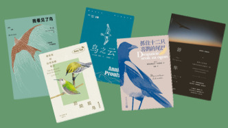 觀鳥書：忌擬人，要成為野性，成為人以外的存在