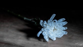 著名历史学家、《陈独秀全传》作者唐宝林逝世