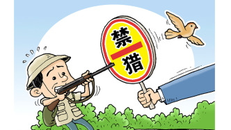 深圳第三次发布《禁猎通告》，全市禁止猎捕陆生野生动物