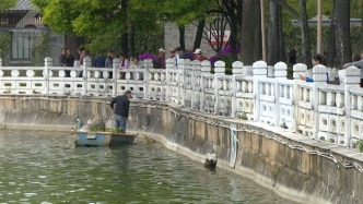 昆明翠湖湖面漂浮大量死鱼引发市民关注，生态环境部门回应