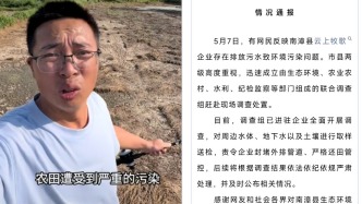 网友反映湖北襄阳南漳县多口堰塘及农田被污染，当地回应已进驻排污企业调查