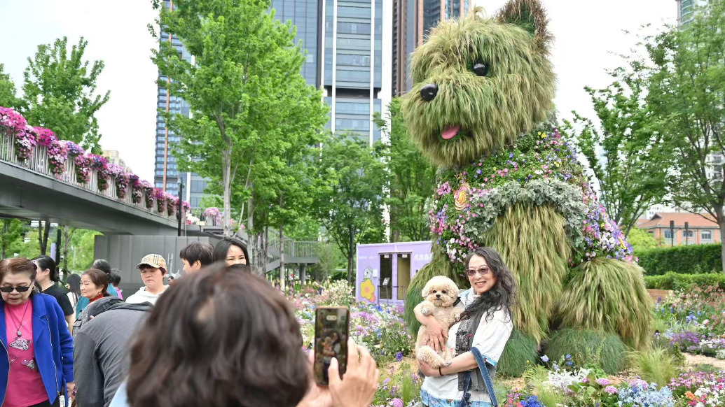 “潦草小狗”延迟退场：新晋“城市IP”如何跃入人心